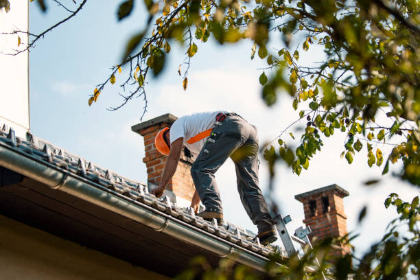 Best Metal Roofing Contractor  in Hansen, ID