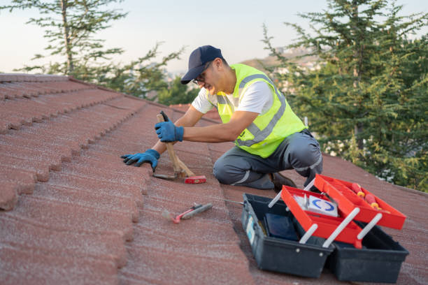Best Roof Repair Services  in Hansen, ID